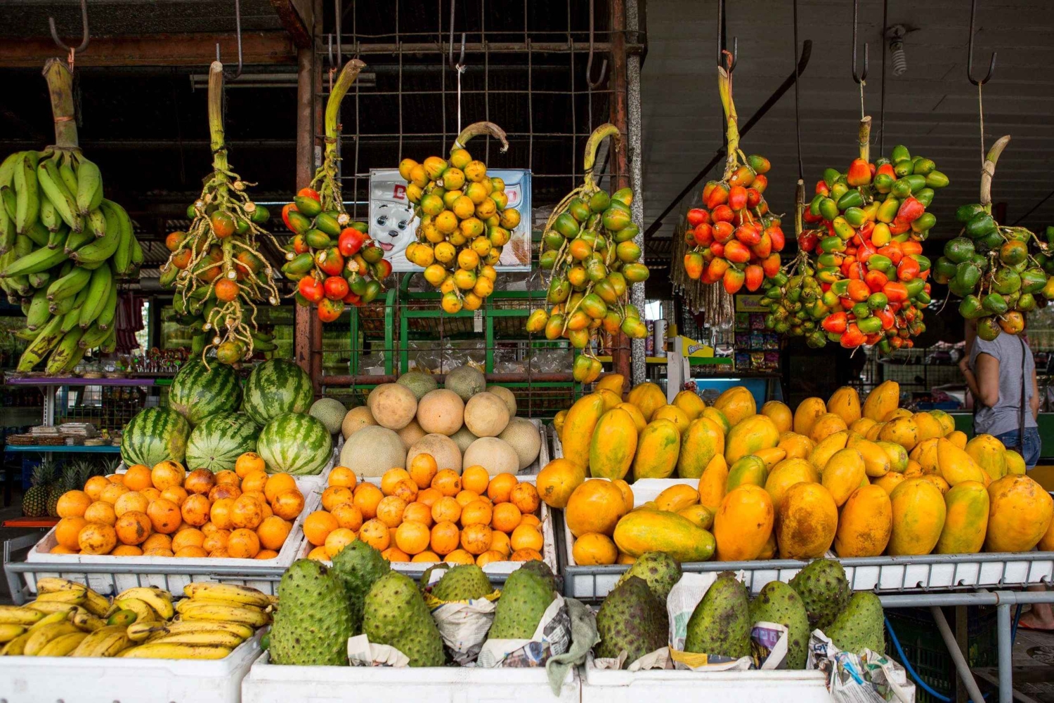 San José: Marknadens läckerheter och stadens sevärdheter med en lokalinvånare