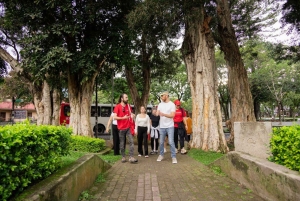 San José: Marknadens läckerheter och stadens sevärdheter med en lokalinvånare