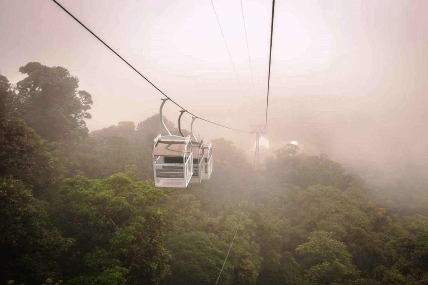 San Jose: Monteverde Sky Tram & Hängebrücken Tagestour