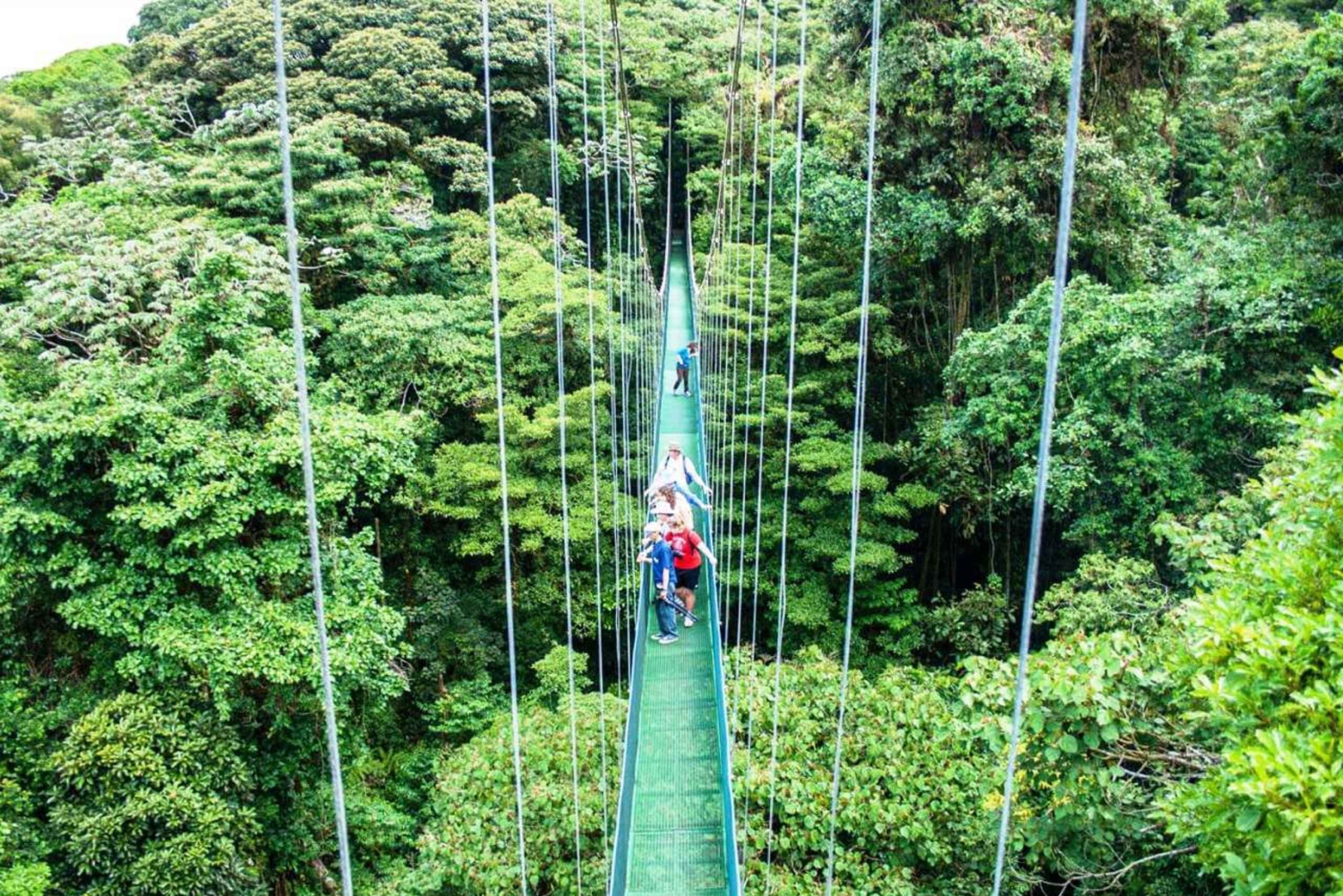 San Jose: Monteverde Sky Tram & Hängebrücken Tagestour