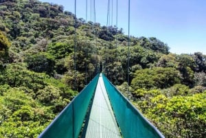 San José: tranvía aéreo y puentes colgantes en Monteverde