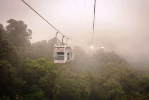 San Jose: Dagstur til Monteverde med Sky Tram og hængebroer