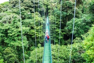 San José: tranvía aéreo y puentes colgantes en Monteverde