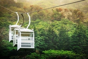 San Jose: Monteverde Sky Tram & Hanging Bridges-dagtour