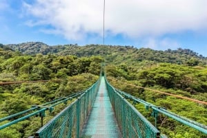 San Jose: jednodniowa wycieczka po Monteverde Sky Tram i wiszących mostach