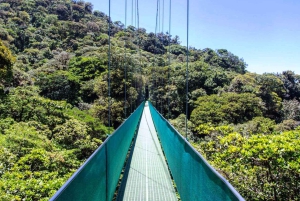 San Jose: Monteverde Sky Tram & Hängebrücken Tagestour