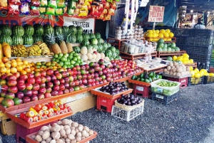 San Jose: Monteverde Sky Tram & Hängebrücken Tagestour