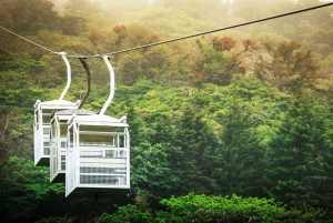 San Jose: Monteverde Sky Tram & Hängebrücken Tagestour