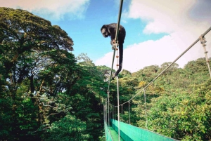 San Jose: Monteverde Sky Tram & Hängebrücken Tagestour