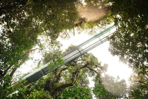 San Jose: Monteverde Sky Tram & Hängebrücken Tagestour