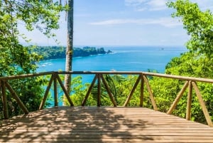 Quepos/Manuel Antonio: One-Way Shuttle Bus to/from San Jose