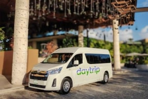 Quepos/Manuel Antonio: One-Way Shuttle Bus to/from San Jose