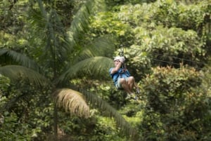 San Jose: visite de la forêt tropicale et de la tyrolienne de San Luis avec déjeuner