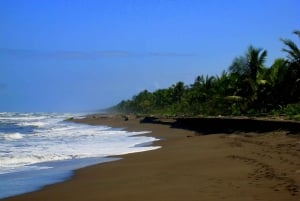 San Jose: Tortuguero Park Day Tour with Breakfast & Lunch
