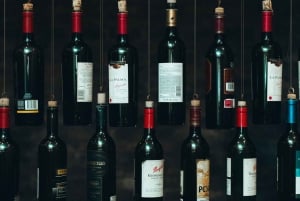 San Jose: Wine Tour with Tastings