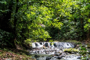 San Pedrillo Station - Corcovado national park