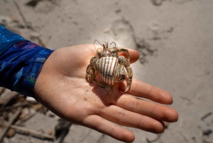 Santa Teresa: Snorkeling Boat Tour with Gourmet Lunch