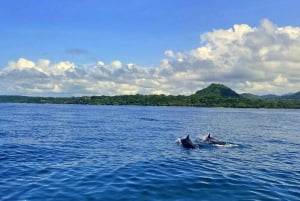 Santa Teresa: Tortuga Island Full Day Boat Tour with Snorkel