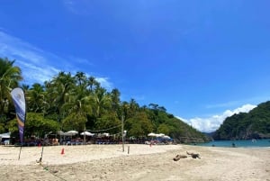 Santa Teresa: Tortuga Island Full Day Boat Tour with Snorkel