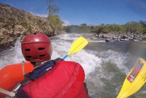 Sarapiquí River: Rafting (Class III & IV Rapids)