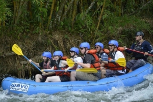 Sarapiquí River: Rafting (Class III & IV Rapids)