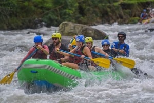Rafting en el Río Sarapiquí Clase IV (Extremo)