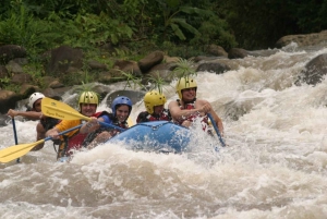 Rafting na rzece Sarapiqui z La Fortuna