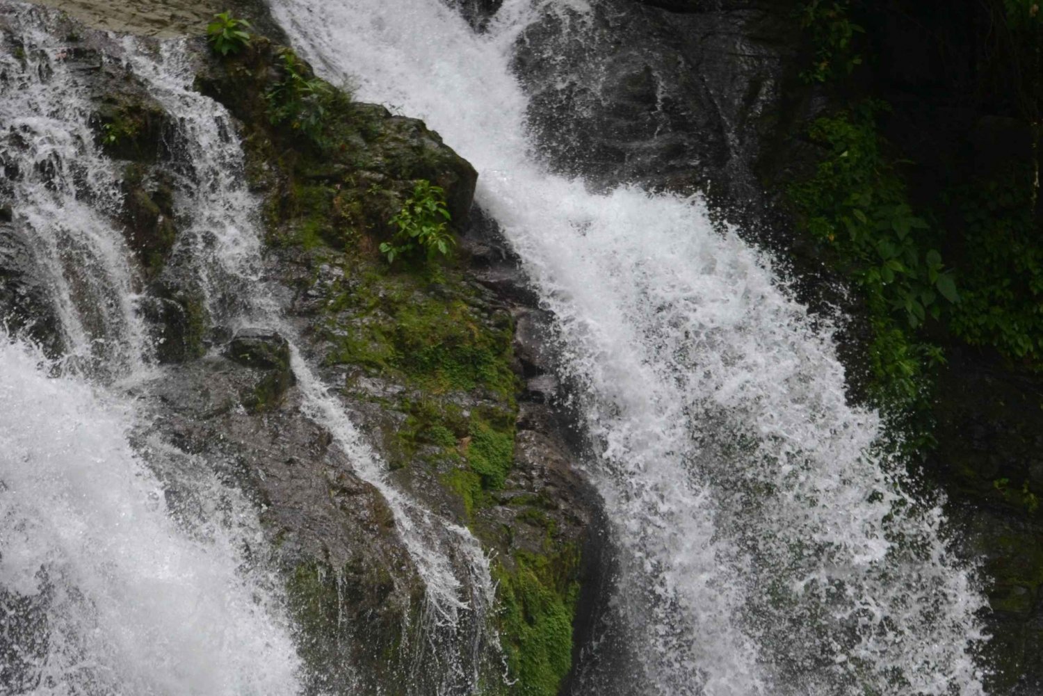 Savegre River Rafting and Waterfall Adventure