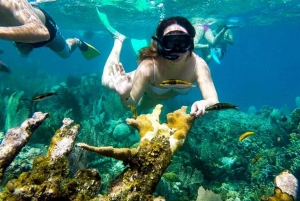 Scuba Tour Certified Divers in Tamarindo