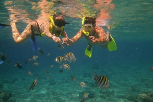 Scuba Tour Certified Divers in Tamarindo