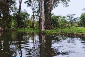カヤックアドベンチャー：2時間の野生生物との出会い