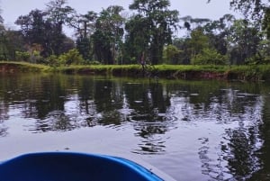 カヤックアドベンチャー：2時間の野生生物との出会い