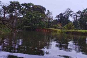 カヤックアドベンチャー：2時間の野生生物との出会い