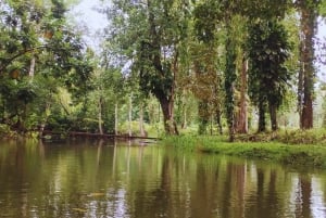 カヤックアドベンチャー：2時間の野生生物との出会い