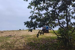 カヤックアドベンチャー：2時間の野生生物との出会い