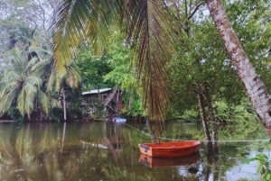 カヤックアドベンチャー：2時間の野生生物との出会い
