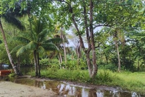 カヤックアドベンチャー：2時間の野生生物との出会い