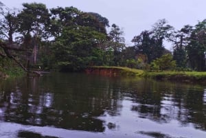 カヤックアドベンチャー：2時間の野生生物との出会い