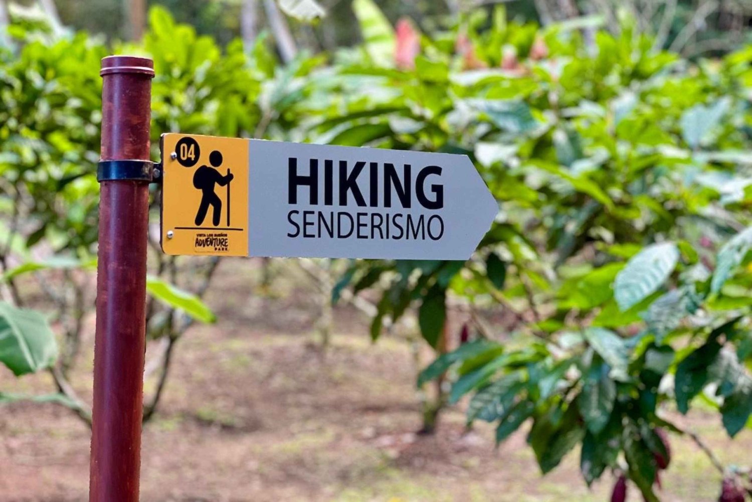Caminhada autoguiada na natureza com vista para o mar Pontos fotográficos em Jaco