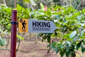 Self Guided Nature Hike with Ocean View Photo spots in Jaco