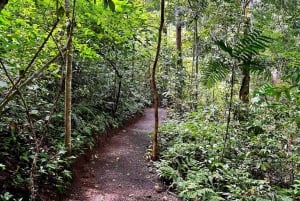 Self Guided Nature Hike with Ocean View Photo spots in Jaco