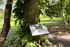 Selvguidet fottur i naturen med havutsikt Fotomotiver i Jaco