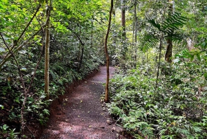 Selvguidet fottur i naturen med havutsikt Fotomotiver i Jaco
