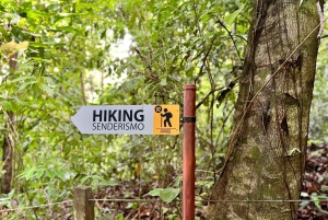 Selvguidet fottur i naturen med havutsikt Fotomotiver i Jaco