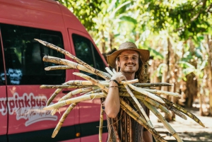 La Fortuna: Transporte para San José
