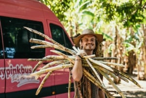 Transfer från San Jose till Puerto Viejo