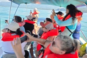 Sierpe Caño Island Snorkeling e Tour in barca nella foresta di mangrovie