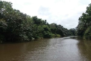 Sierpe: Viidakkoristeily ja mangrovemetsäretki