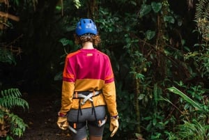 Sky Trek Ziplines: Thrilling 1.9-Mile Cloud Forest Adventure