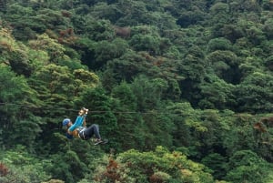 Sky Trek Ziplines: Thrilling 1.9-Mile Cloud Forest Adventure